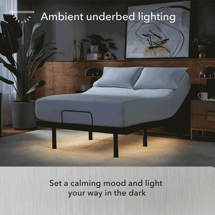 baselogic® Platinum Adjustable Base