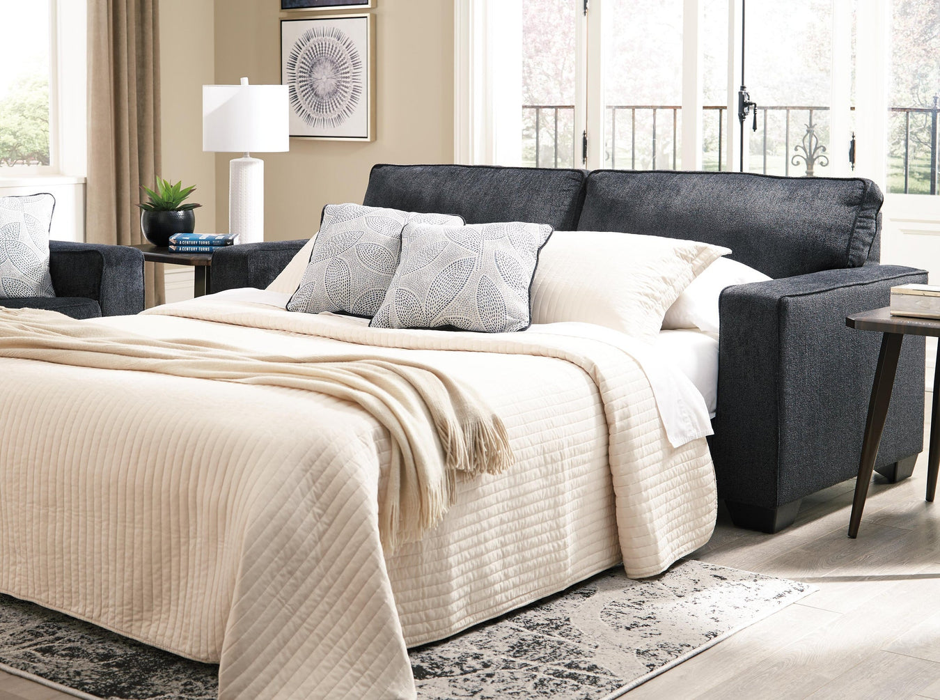 Living Room > Sleeper Sofa
