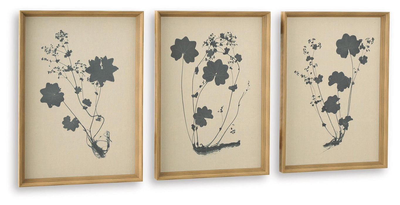 Ashley Express - Huddwick Wall Art Set (3/CN)